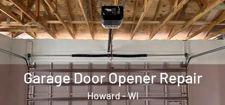  Garage Door Opener Repair Howard - WI