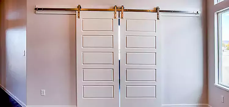 Glass Barn Door with Installation Hardware Kit Howard