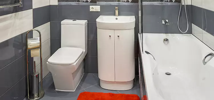 Hansgrohe Shaving Mirror Howard